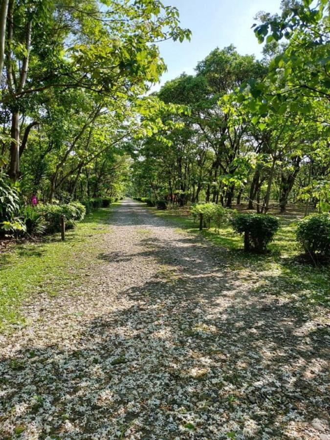 花蓮金澤居民宿樹窩民宿御安居民宿寵物友善 Ji’an Zewnętrze zdjęcie