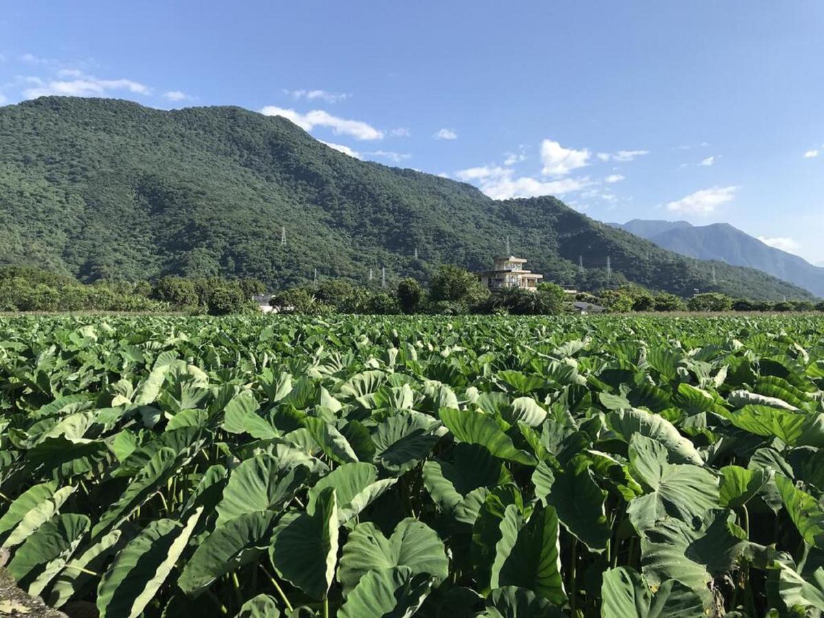 花蓮金澤居民宿樹窩民宿御安居民宿寵物友善 Ji’an Zewnętrze zdjęcie